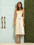 evening dresses evening dresses