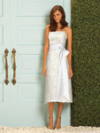 ball gown ball gown